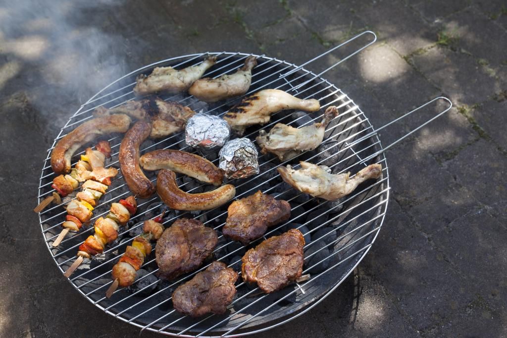 Lauw commentaar focus Esschert BBQ Rooster voor vuurschaal | Barbecueën op een vuurschaal! |  Paraffine berkenstam kopen? | Voor 17.00u. besteld, morgen in huis*!